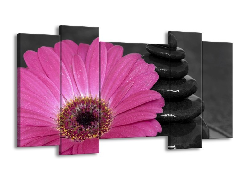 Canvas schilderij Bloem | Paars, Zwart | 120x65 5Luik
