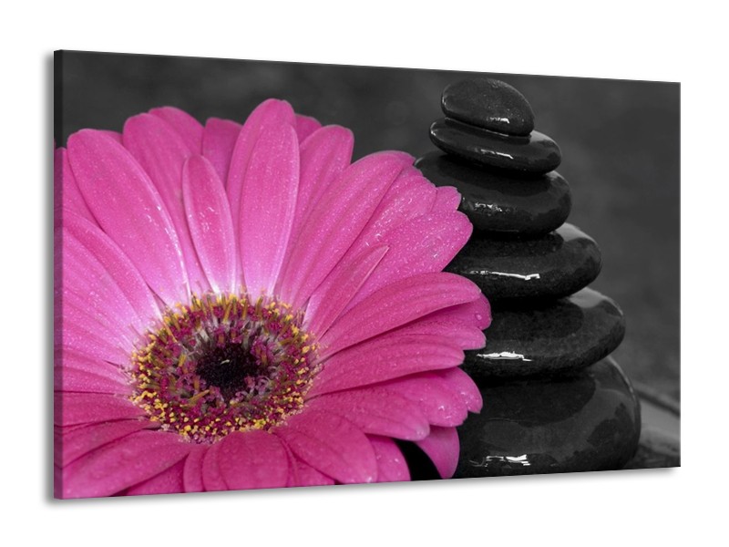 Canvas schilderij Bloem | Paars, Zwart | 140x90cm 1Luik