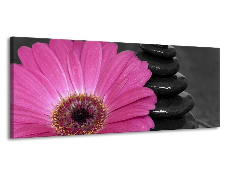 Canvas schilderij Bloem | Paars, Zwart | 145x58cm 1Luik