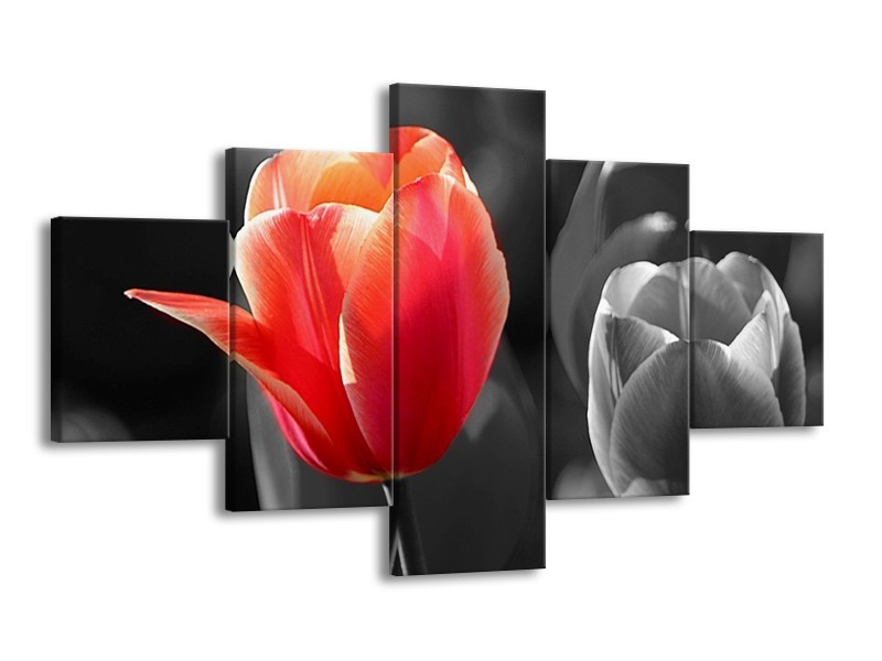 Canvas schilderij Tulp | Rood, Grijs, Wit | 125x70cm 5Luik
