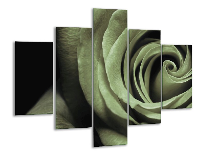Canvas schilderij Roos | Groen, Grijs, Zwart | 100x70cm 5Luik