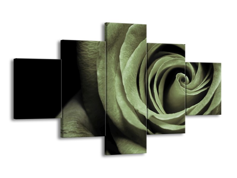 Canvas schilderij Roos | Groen, Grijs, Zwart | 125x70cm 5Luik