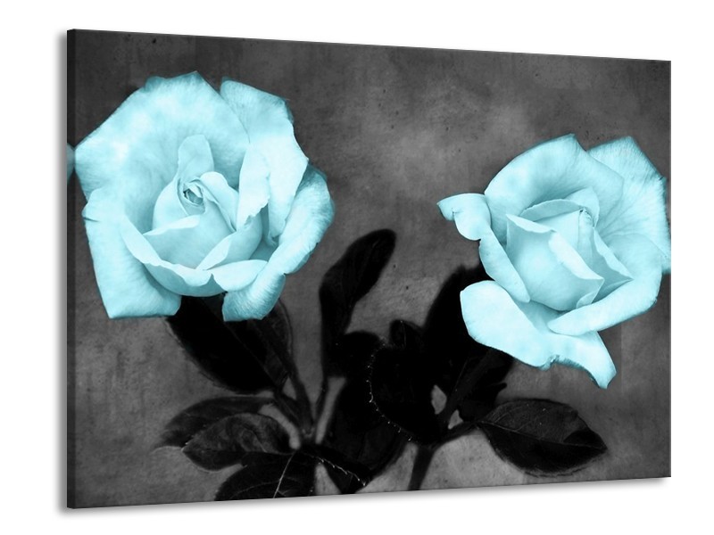 Canvas schilderij Roos | Blauw, Grijs, Zwart | 100x70cm 1Luik