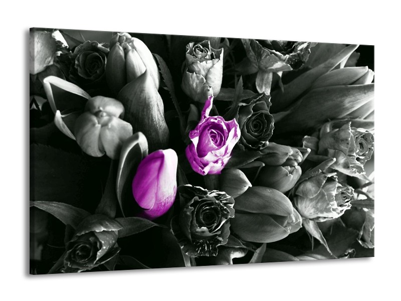 Canvas schilderij Tulp | Paars, Grijs, Zwart | 140x90cm 1Luik
