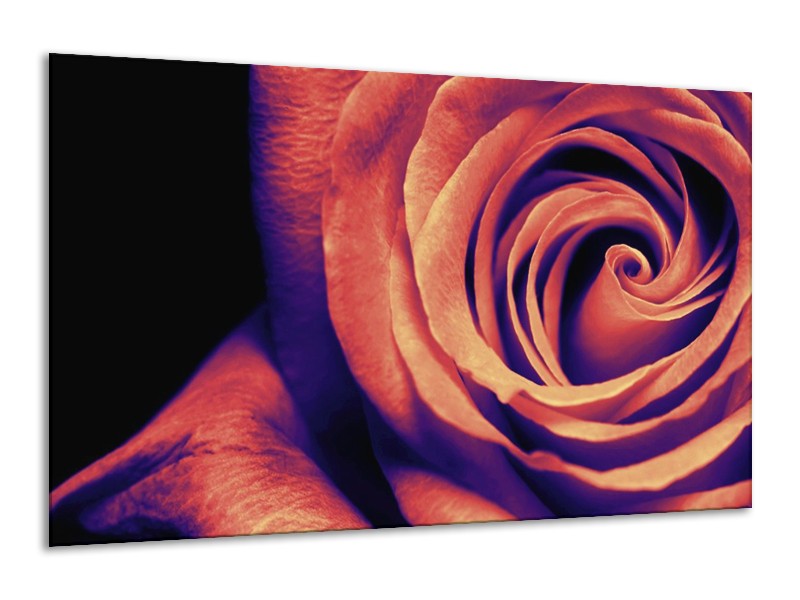Canvas schilderij Roos | Bruin, Zwart | 120x70cm 1Luik