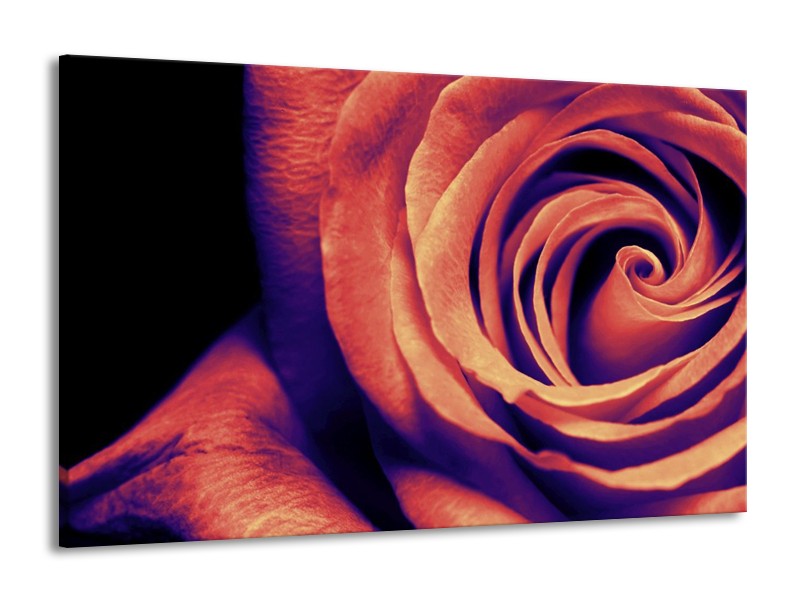 Canvas schilderij Roos | Bruin, Zwart | 140x90cm 1Luik