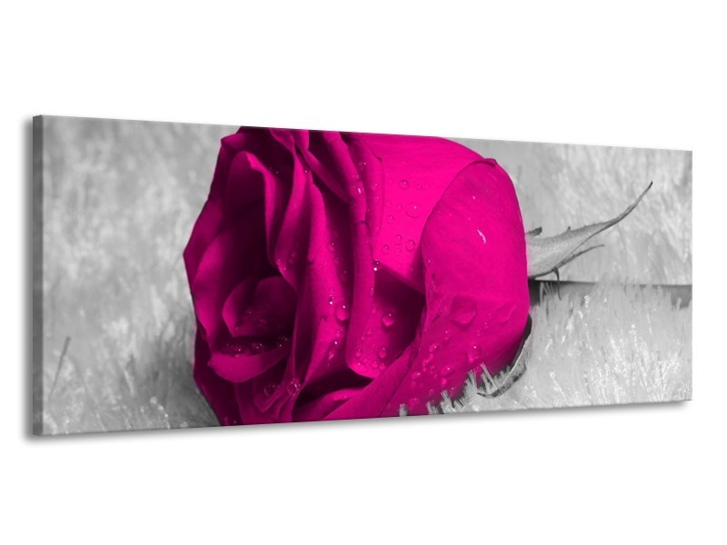 Canvas schilderij Roos | Roze, Grijs | 145x58cm 1Luik