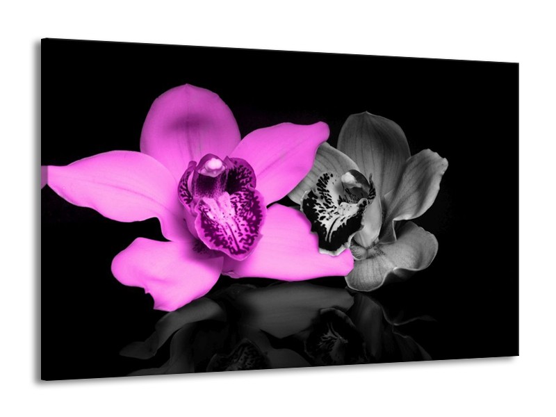 Canvas schilderij Orchidee | Paars, Grijs, Zwart | 140x90cm 1Luik