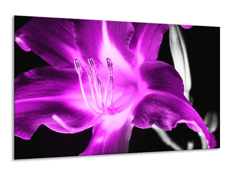 Canvas schilderij Orchidee | Paars, Grijs, Zwart | 120x70cm 1Luik