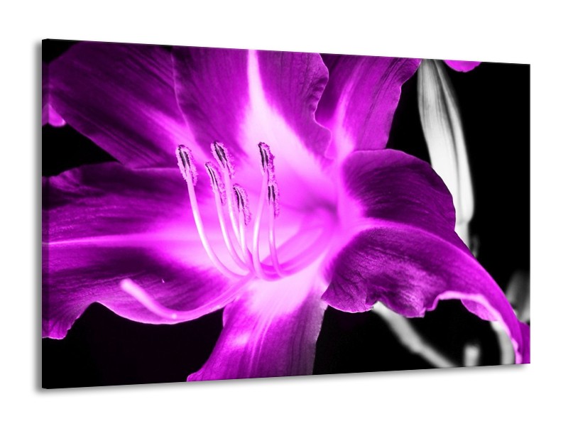 Canvas schilderij Orchidee | Paars, Grijs, Zwart | 140x90cm 1Luik
