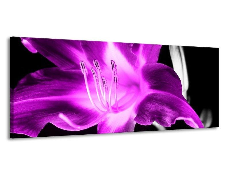 Canvas schilderij Orchidee | Paars, Grijs, Zwart | 145x58cm 1Luik