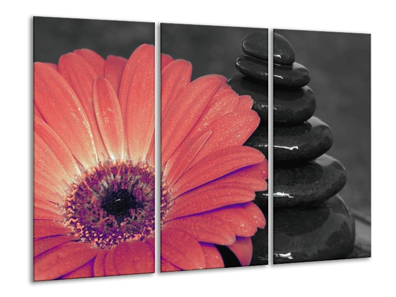 Canvas schilderij Bloem | Oranje, Zwart | 120x80cm 3Luik