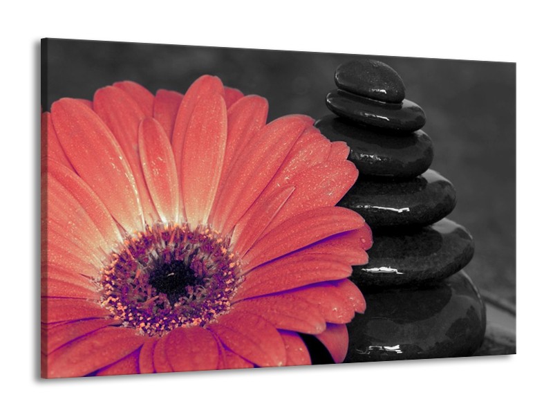 Canvas schilderij Bloem | Oranje, Zwart | 140x90cm 1Luik