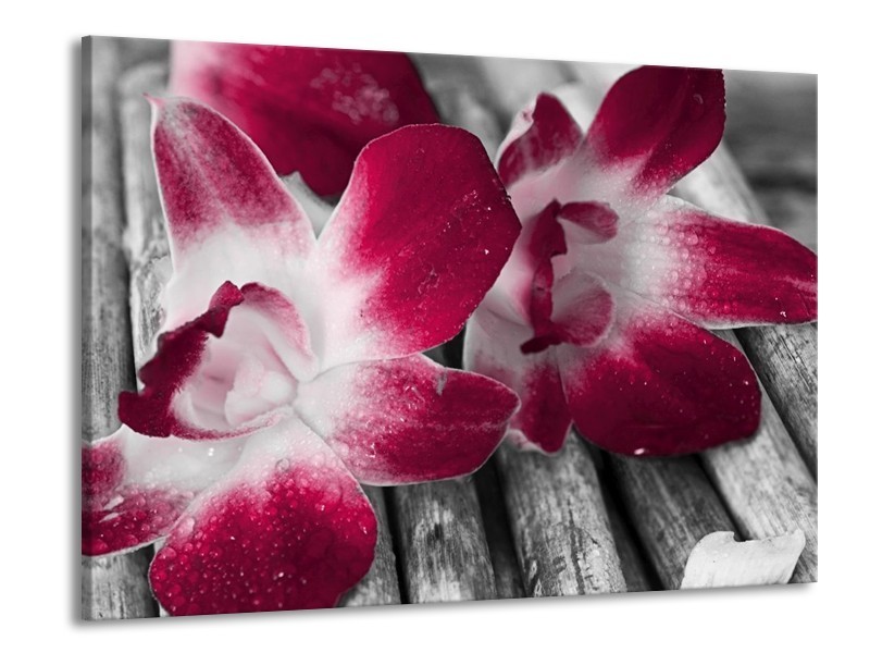 Canvas schilderij Bloem | Rood, Wit, Grijs | 100x70cm 1Luik