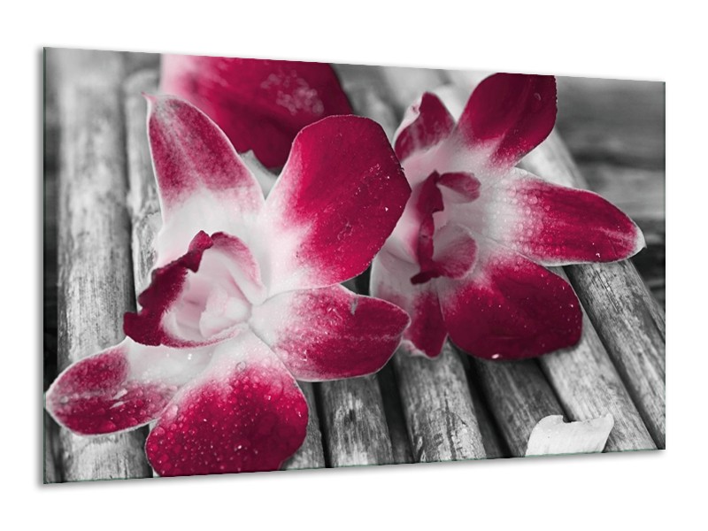 Canvas schilderij Bloem | Rood, Wit, Grijs | 120x70cm 1Luik