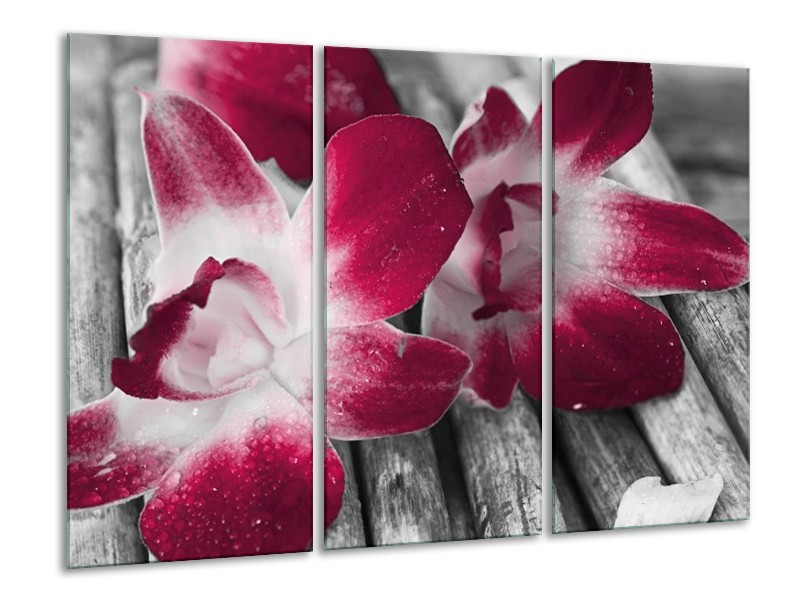 Canvas schilderij Bloem | Rood, Wit, Grijs | 120x80cm 3Luik