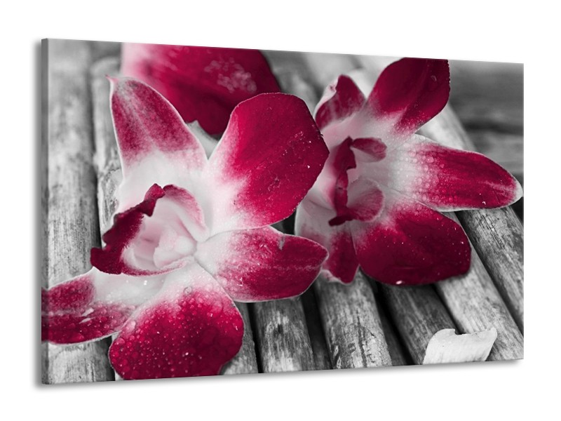Canvas schilderij Bloem | Rood, Wit, Grijs | 140x90cm 1Luik