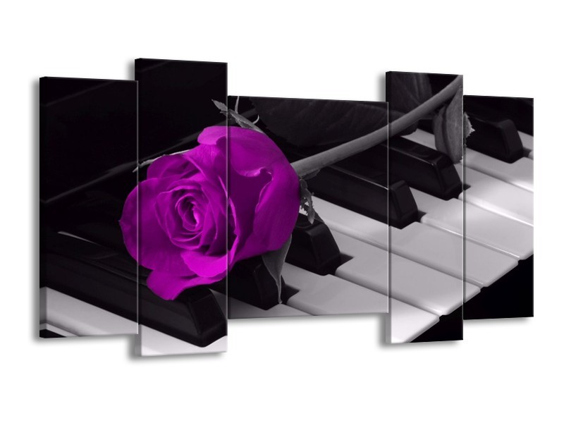 Glas schilderij Roos | Paars, Zwart, Wit | 120x65cm 5Luik