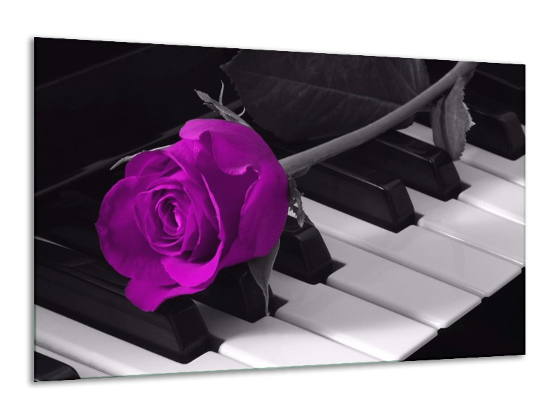 Glas schilderij Roos | Paars, Zwart, Wit | 120x70cm 1Luik