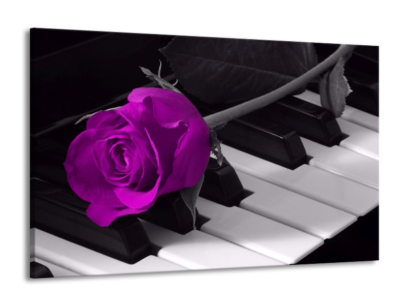 Glas schilderij Roos | Paars, Zwart, Wit | 140x90cm 1Luik