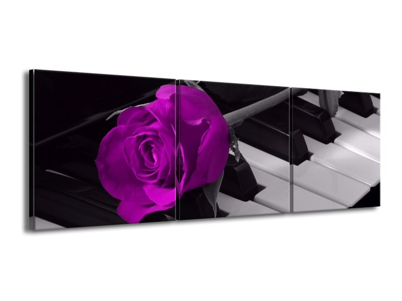 Glas schilderij Roos | Paars, Zwart, Wit | 150x50cm 3Luik
