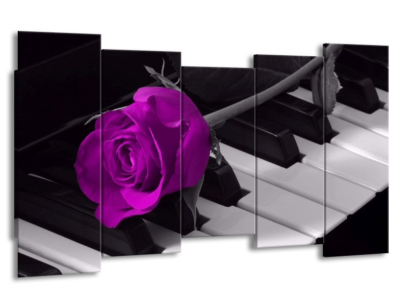 Glas schilderij Roos | Paars, Zwart, Wit | 150x80cm 5Luik