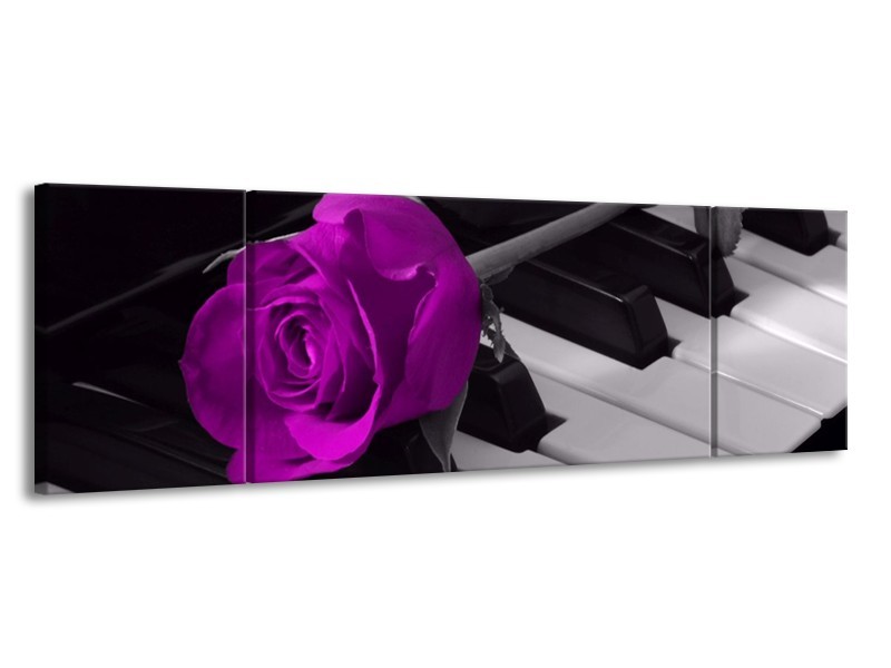 Glas schilderij Roos | Paars, Zwart, Wit | 170x50cm 3Luik