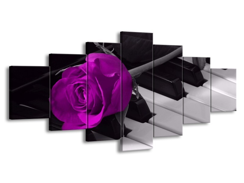 Glas schilderij Roos | Paars, Zwart, Wit | 210x100cm 7Luik