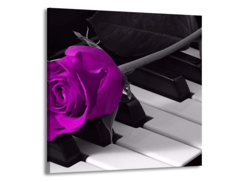 Glas schilderij Roos | Paars, Zwart, Wit | 70x70cm 1Luik