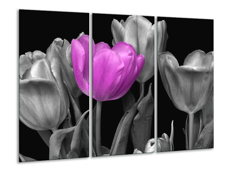Canvas schilderij T0 | Paars, Grijs, Zwart | 120x80cm 3Luik
