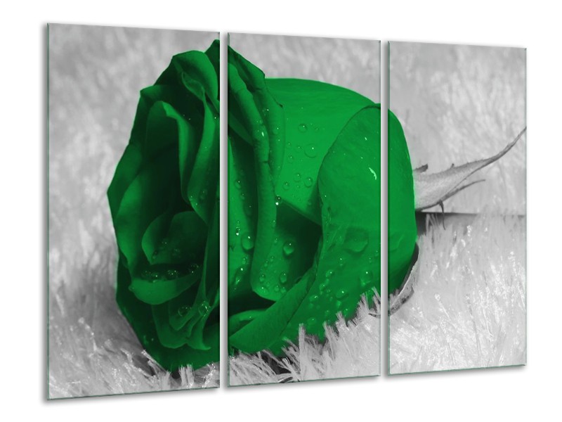 Canvas schilderij Roos | Groen, Grijs, Zwart | 120x80cm 3Luik