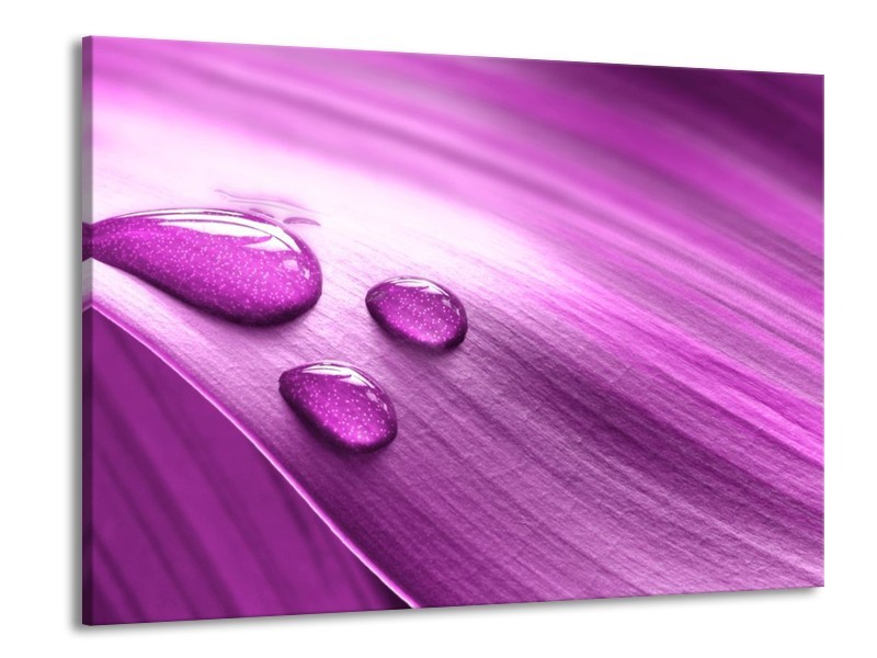 Canvas schilderij Druppel | Paars, Wit | 100x70cm 1Luik