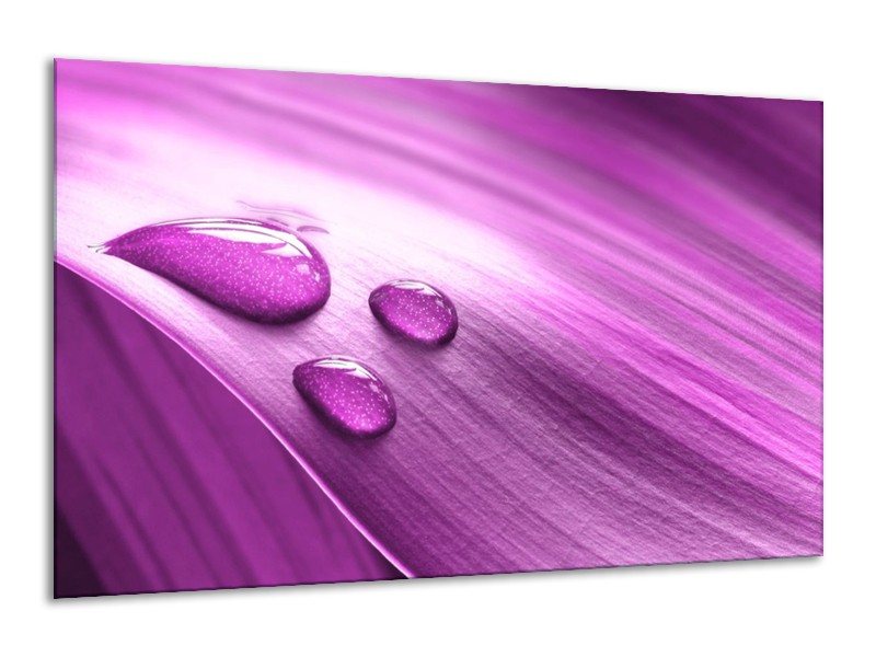Canvas schilderij Druppel | Paars, Wit | 120x70cm 1Luik