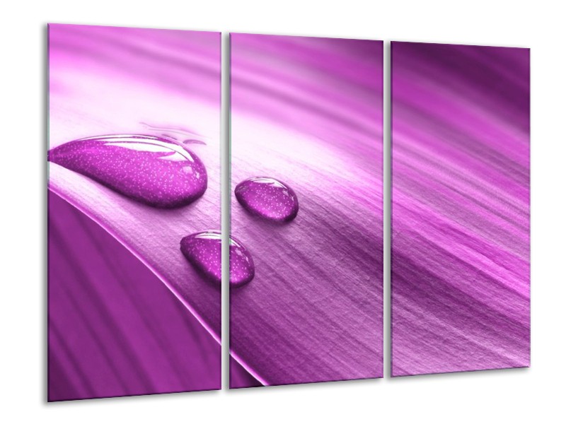 Canvas schilderij Druppel | Paars, Wit | 120x80cm 3Luik