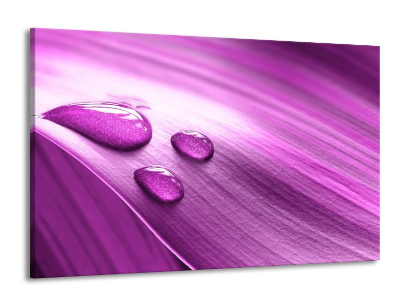 Canvas schilderij Druppel | Paars, Wit | 140x90cm 1Luik