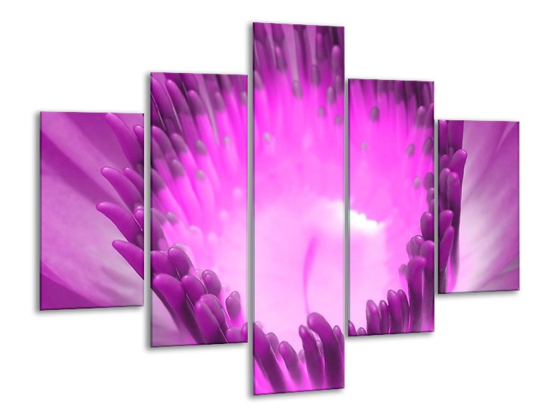 Canvas schilderij Bloem | Paars, Wit | 100x70cm 5Luik