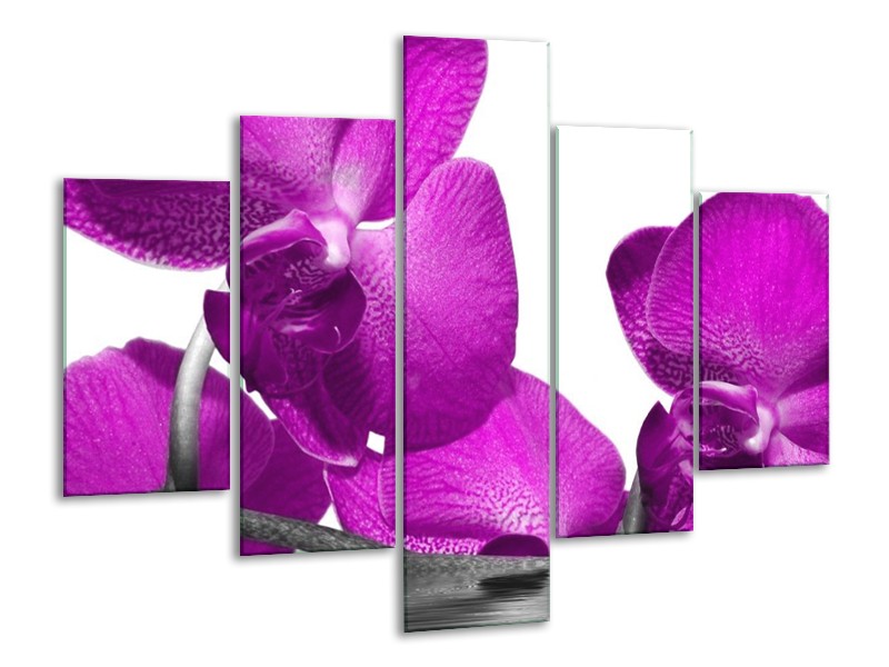 Canvas schilderij Orchidee | Paars, Wit | 100x70cm 5Luik