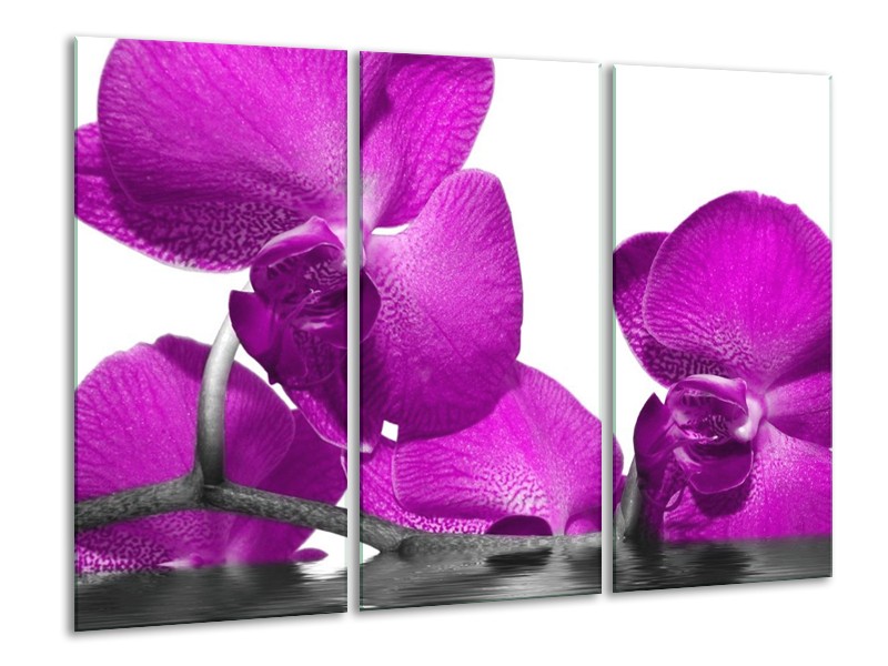 Canvas schilderij Orchidee | Paars, Wit | 120x80cm 3Luik