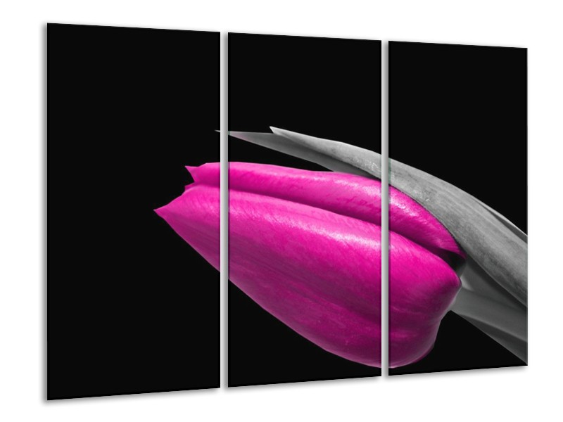 Canvas schilderij Tulp | Paars, Zwart, Grijs | 120x80cm 3Luik