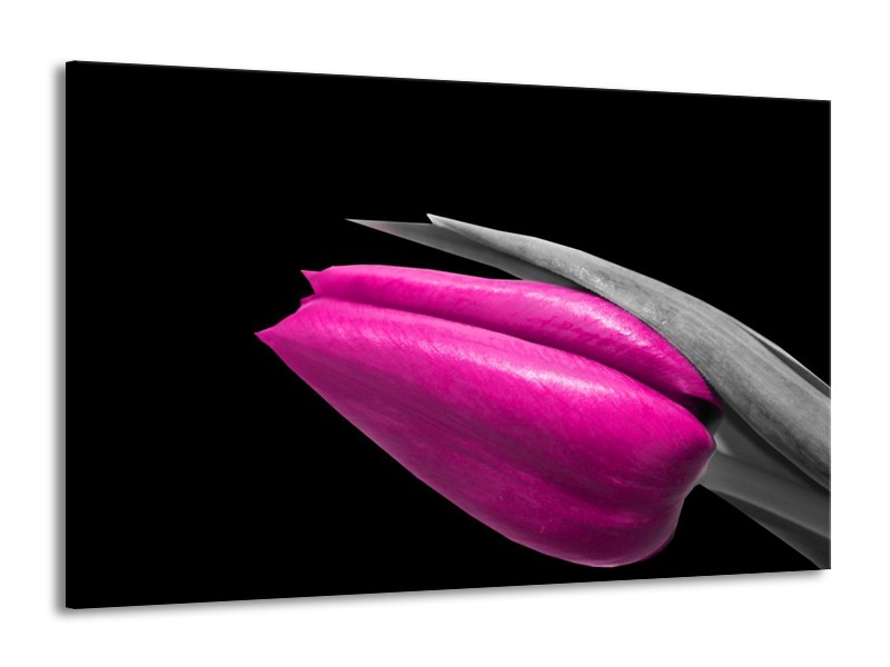 Canvas schilderij Tulp | Paars, Zwart, Grijs | 140x90cm 1Luik