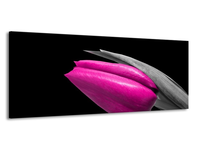 Canvas schilderij Tulp | Paars, Zwart, Grijs | 145x58cm 1Luik