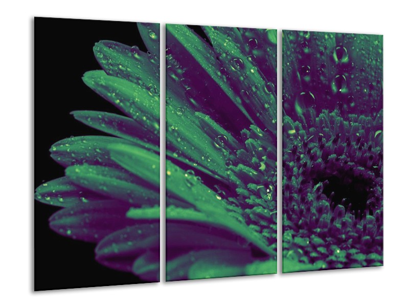 Canvas schilderij Bloem | Groen, Zwart | 120x80cm 3Luik