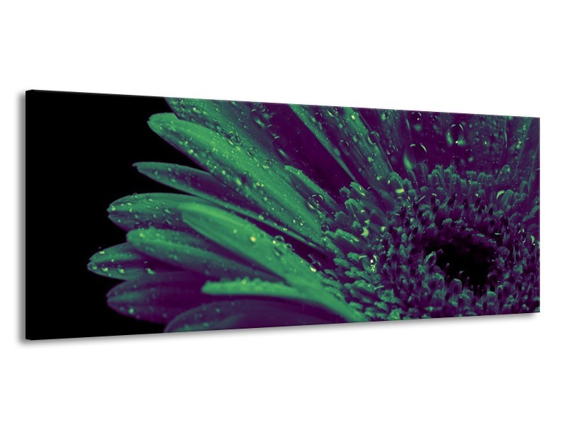 Canvas schilderij Bloem | Groen, Zwart | 145x58cm 1Luik
