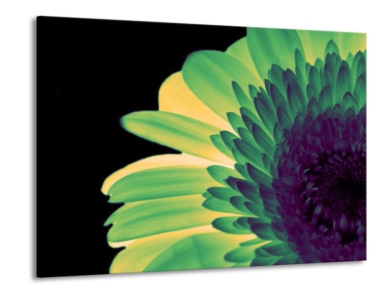 Canvas schilderij Bloem | Groen, Geel, Zwart | 100x70cm 1Luik