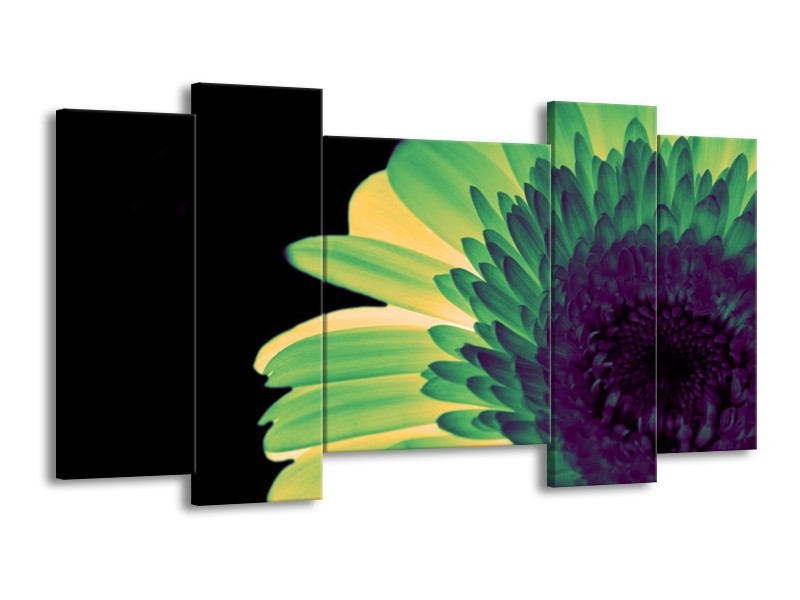 Canvas schilderij Bloem | Groen, Geel, Zwart | 120x65 5Luik
