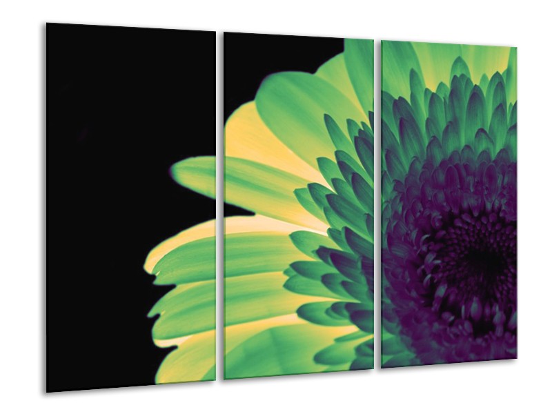 Canvas schilderij Bloem | Groen, Geel, Zwart | 120x80cm 3Luik
