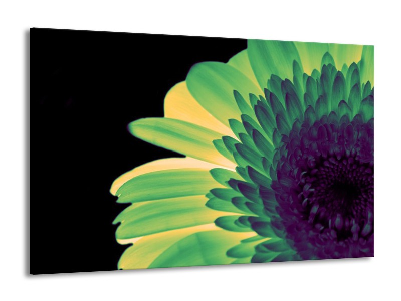Canvas schilderij Bloem | Groen, Geel, Zwart | 140x90cm 1Luik