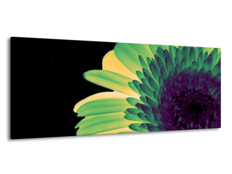 Canvas schilderij Bloem | Groen, Geel, Zwart | 145x58cm 1Luik