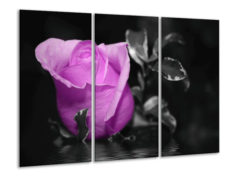 Canvas schilderij Roos | Paars, Grijs, Zwart | 120x80cm 3Luik