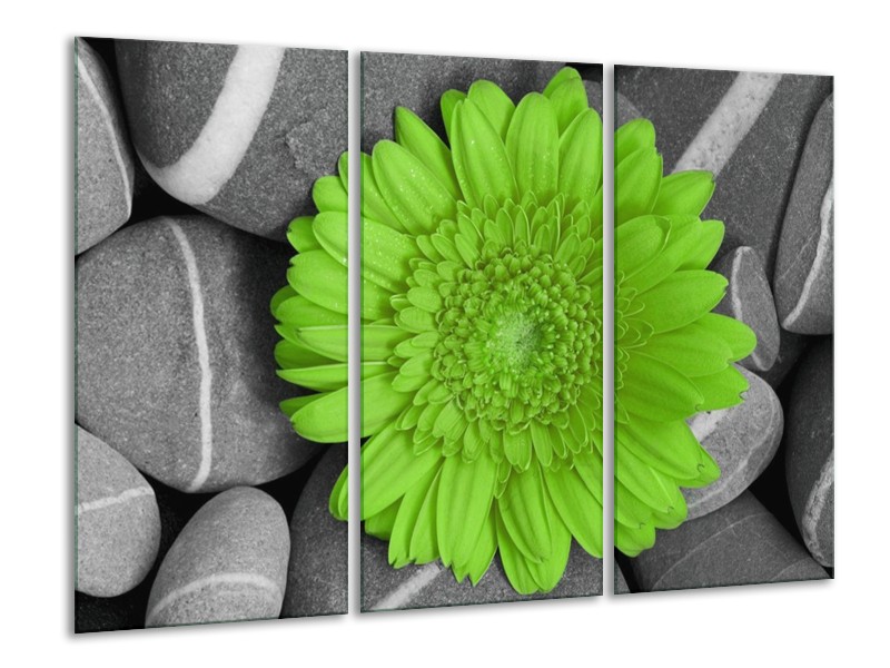 Canvas schilderij Bloem | Groen, Grijs | 120x80cm 3Luik